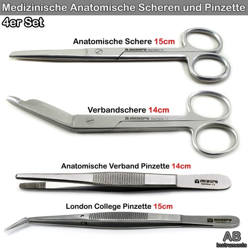 Medizinische anatomische - medizinische,